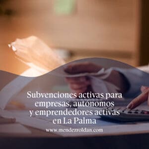 Subvenciones activas para empresas, autónomos y emprendedores activas en La Palma