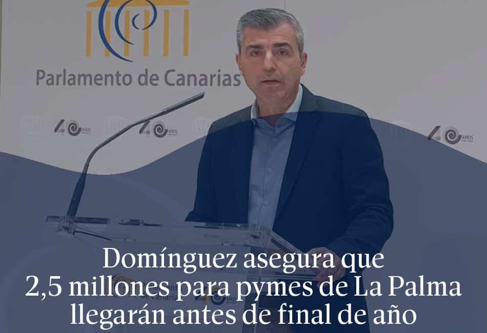 Domínguez asegura que 2,5 millones para pymes de La Palma llegarán antes de final de año