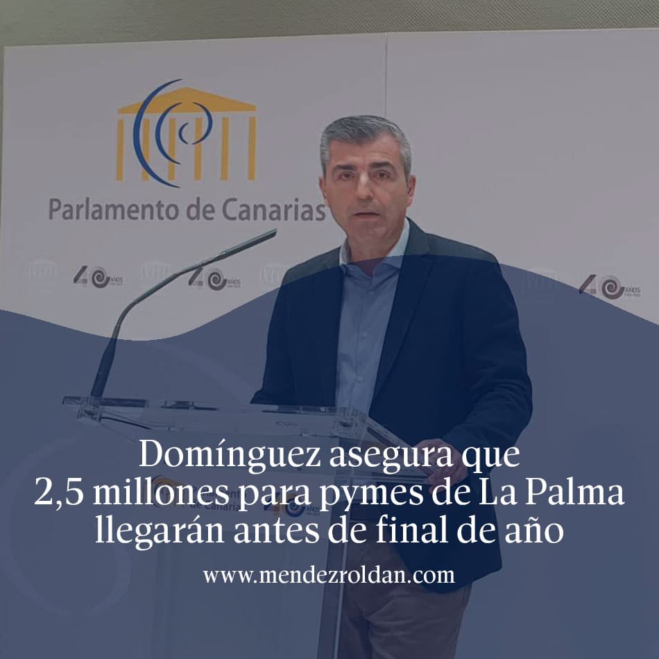 Domínguez asegura que 2,5 millones para pymes de La Palma llegarán antes de final de año